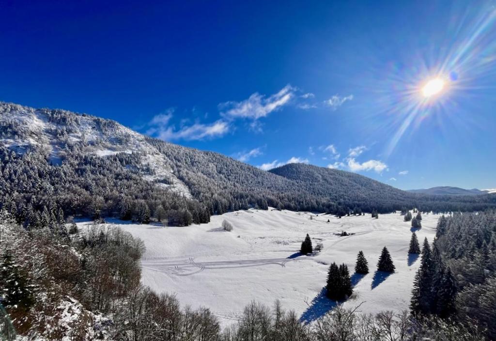 Restaurant Hotel Du Vercors Saint-Martin-en-Vercors Екстериор снимка